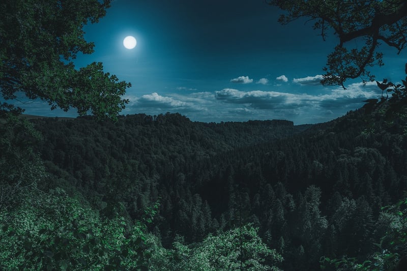 Moon Phases Backdrop